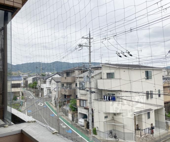 【モアライフ酒井松】間取