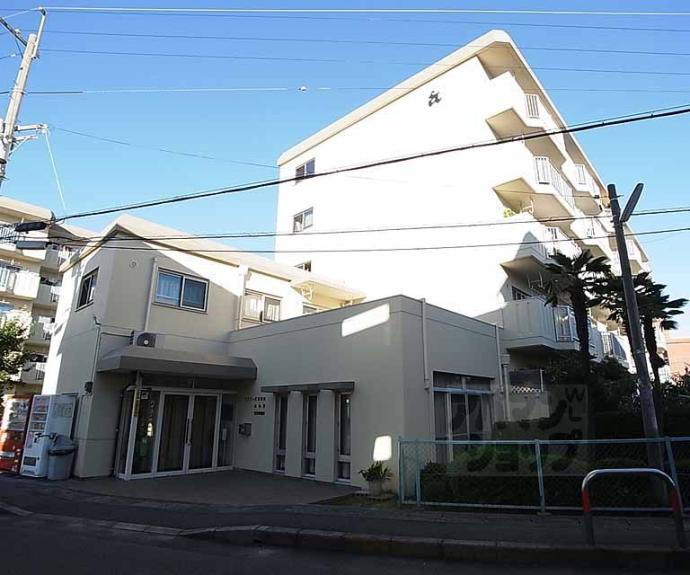 【ハイコーポ長岡京】間取