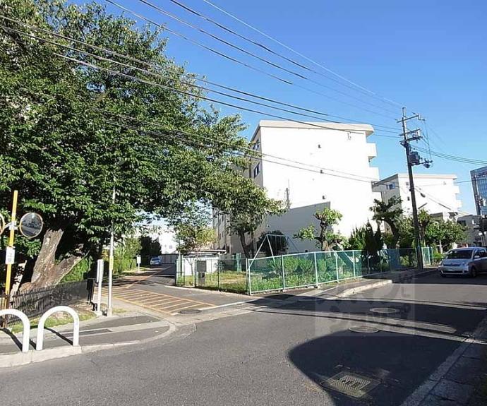 【ハイコーポ長岡京】間取