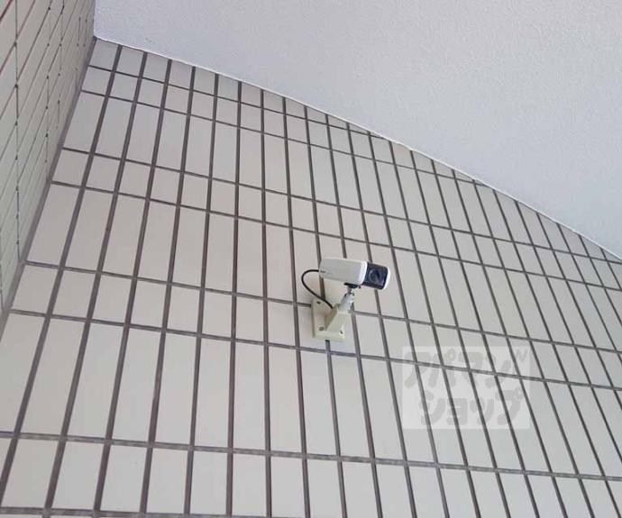 【ラ・セーヌ南桂】間取