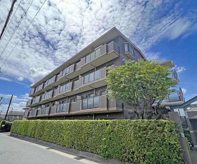 【ローレルコート五番館】間取