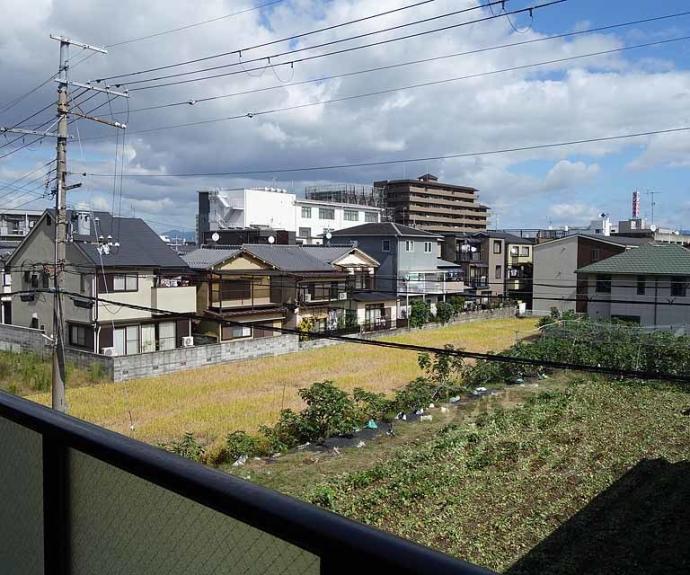 【ローレルコート五番館】間取