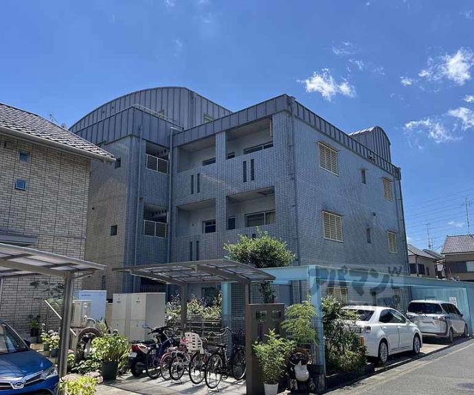 【ドムール桂】間取