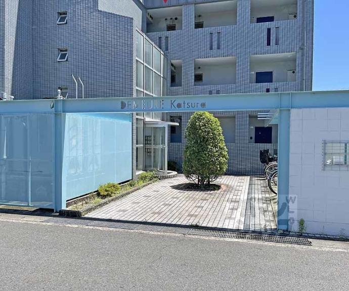 【ドムール桂】間取