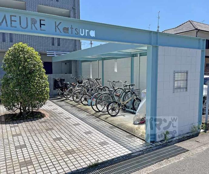 【ドムール桂】間取