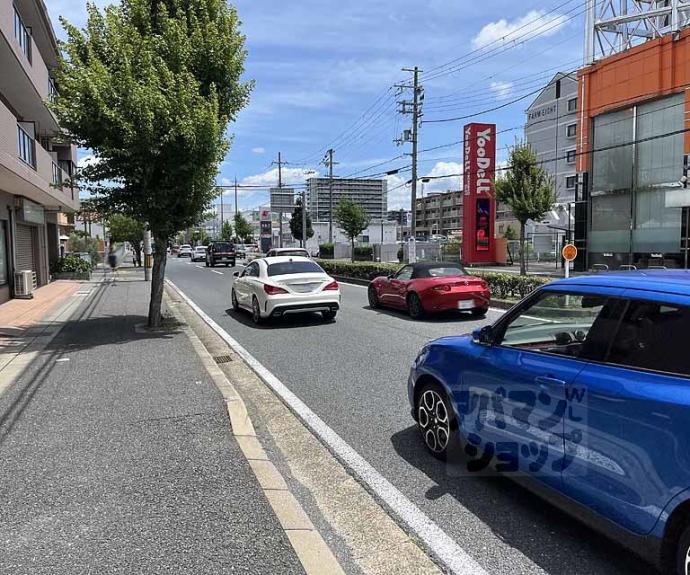 【カサベルデ】間取