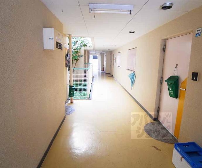 【多蔵ハイツ】間取