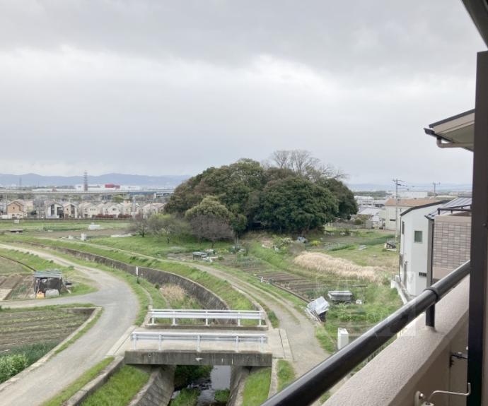 【レヴェンテ翠香】間取