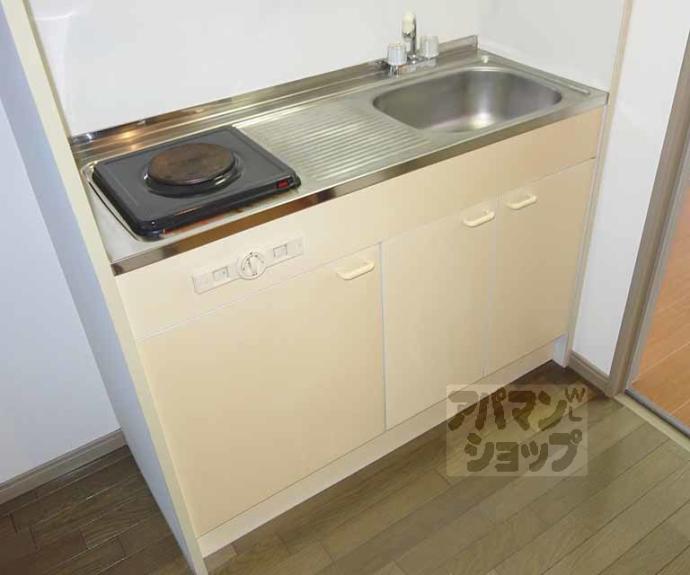 【ハウスリーク３８１】間取