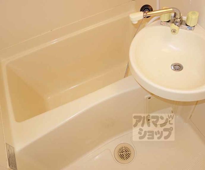 【ハウスリーク３８１】間取