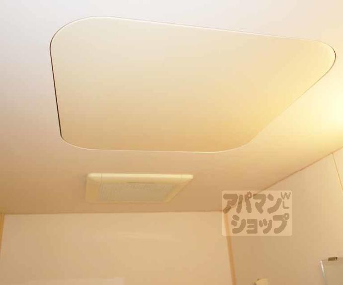 【ハウスリーク３８１】間取