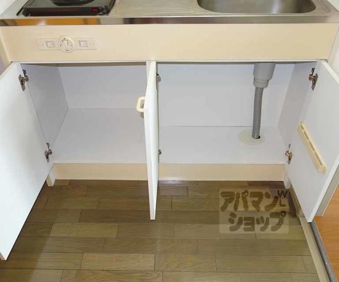 【ハウスリーク３８１】間取