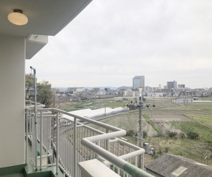 【イトーピア向日】間取