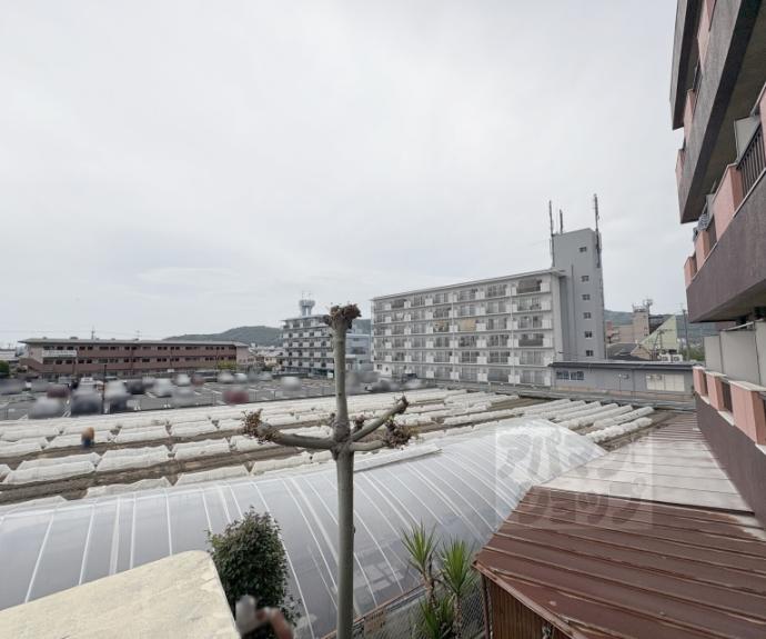 【ハイライフ嵯峨】間取