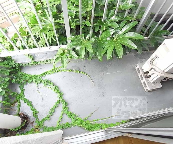 【シティハウス夷川】間取