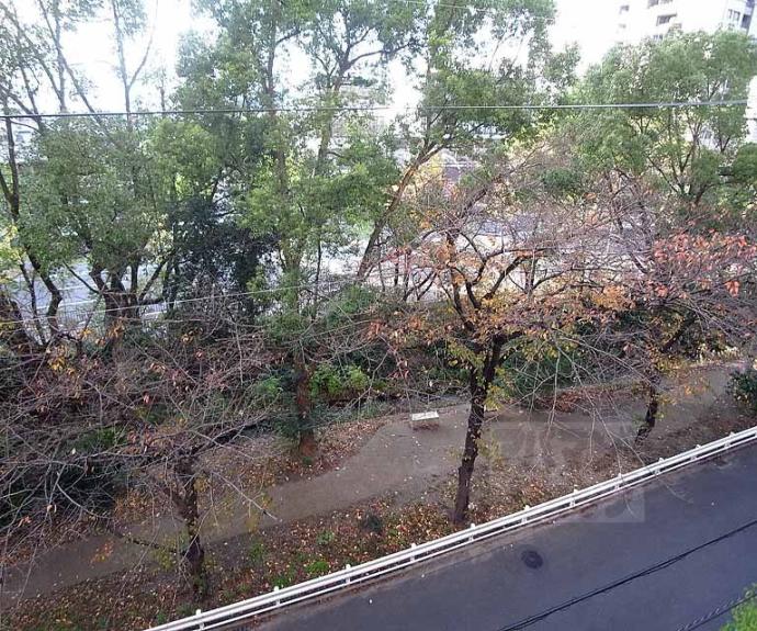 【サンレジデンス錦綾東堀川】間取