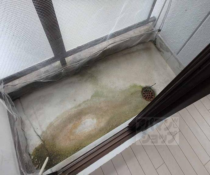 【オリオンプラザ】間取