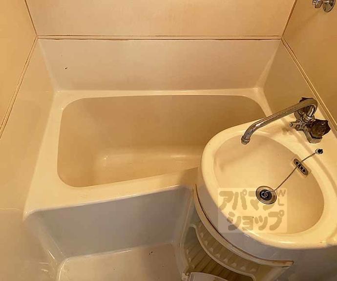 【メゾンカミゴリョー】間取