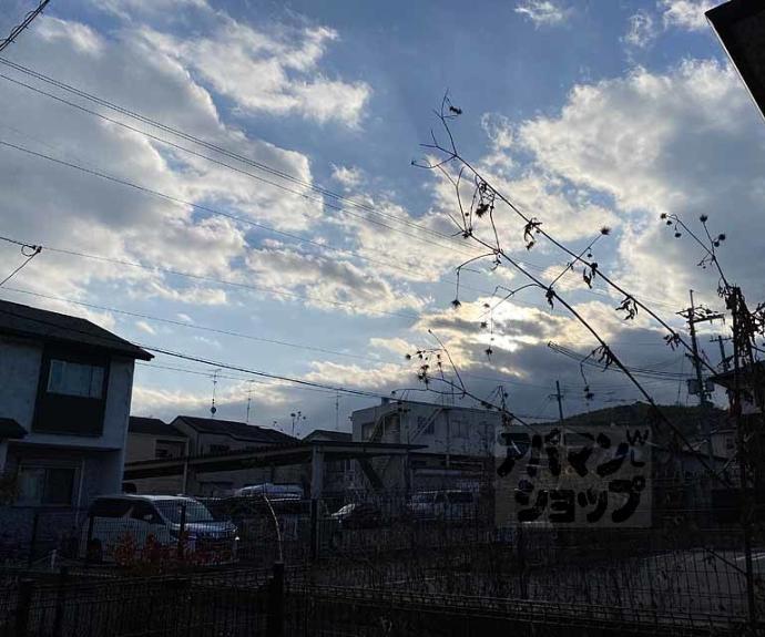 【セジュール蘭】間取