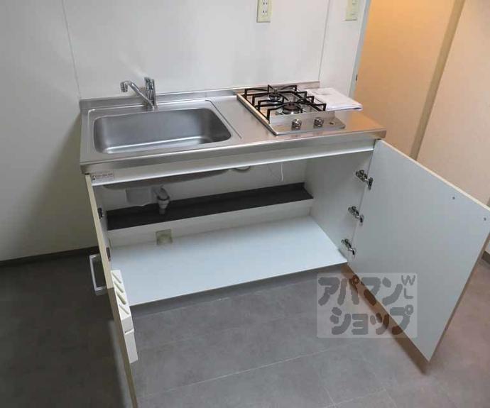 【ミレイ西ノ京】間取