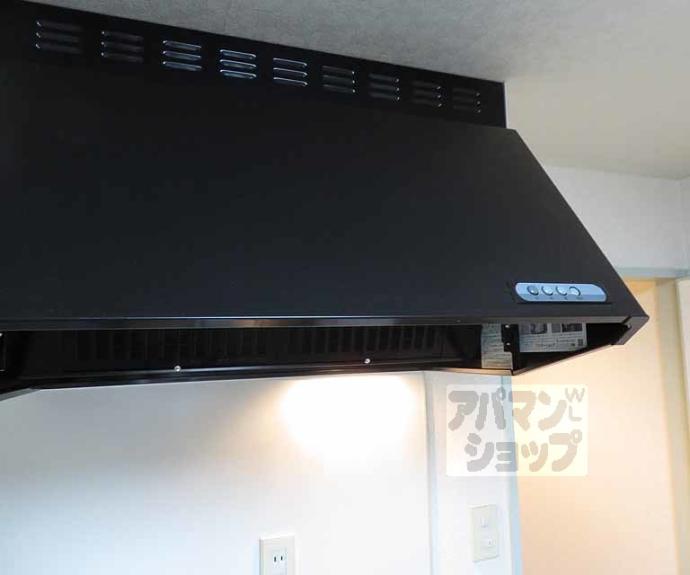 【ミレイ西ノ京】間取