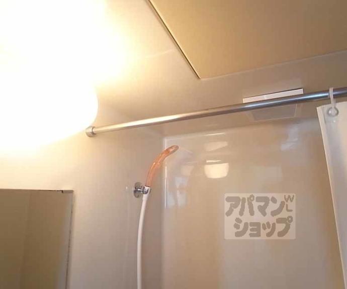 【秋街道ハイツ】間取