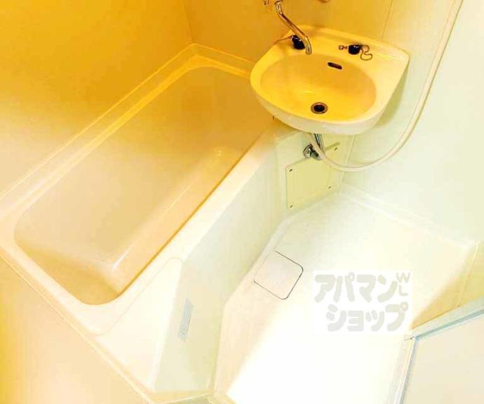 【マウンテンヴィレッジ】間取