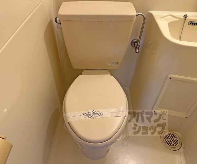 【ロイヤルパレス大枝】間取