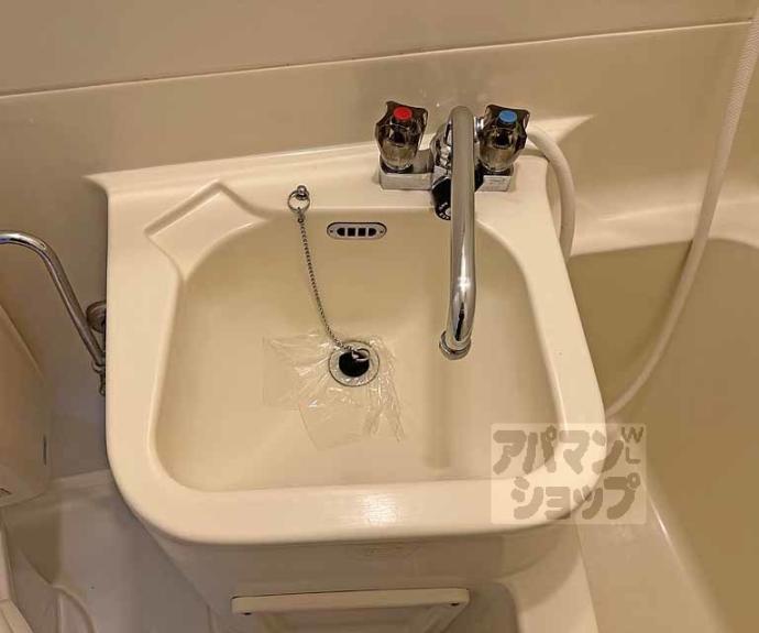 【ロイヤルパレス大枝】間取