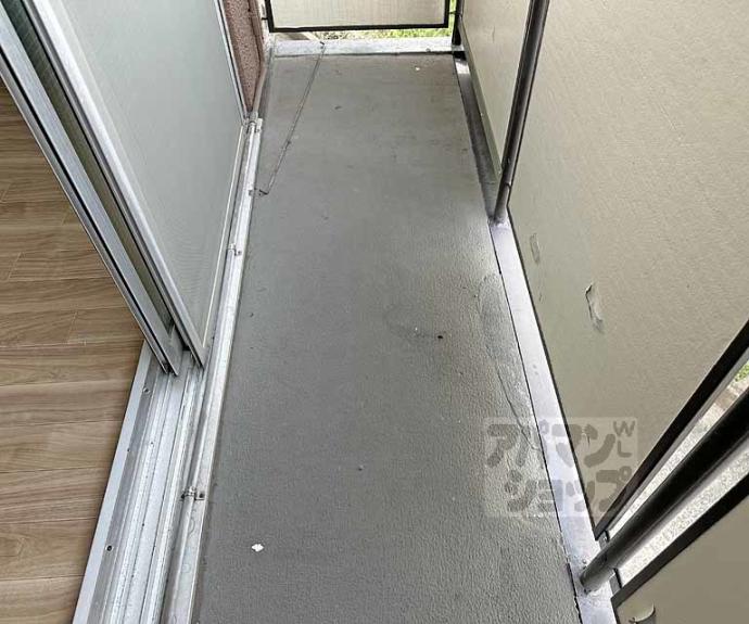 【ロイヤルパレス大枝】間取