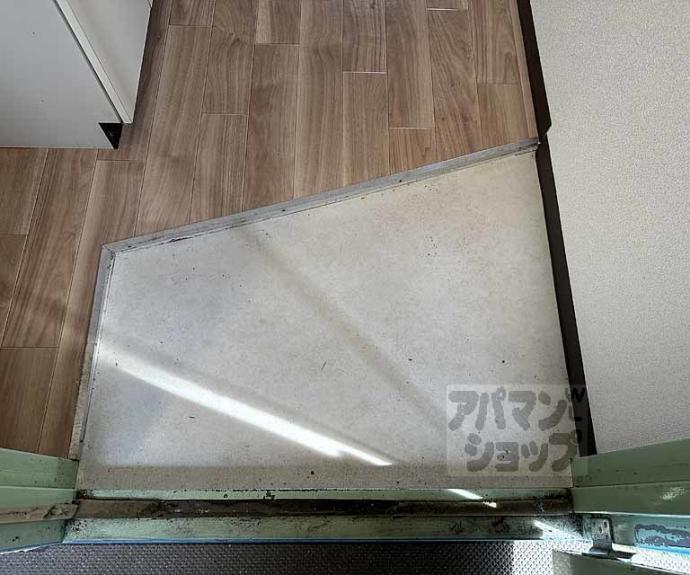 【ロイヤルパレス大枝】間取