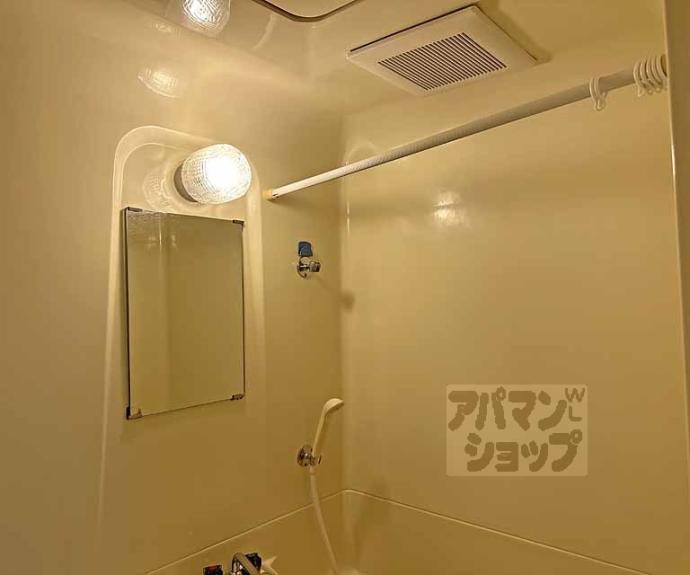 【ロイヤルパレス大枝】間取