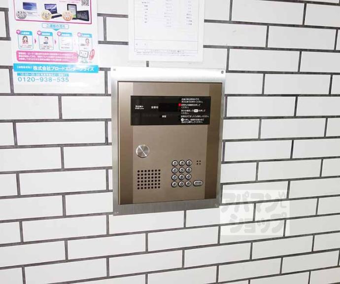 【ＰＬＵＭ２１】