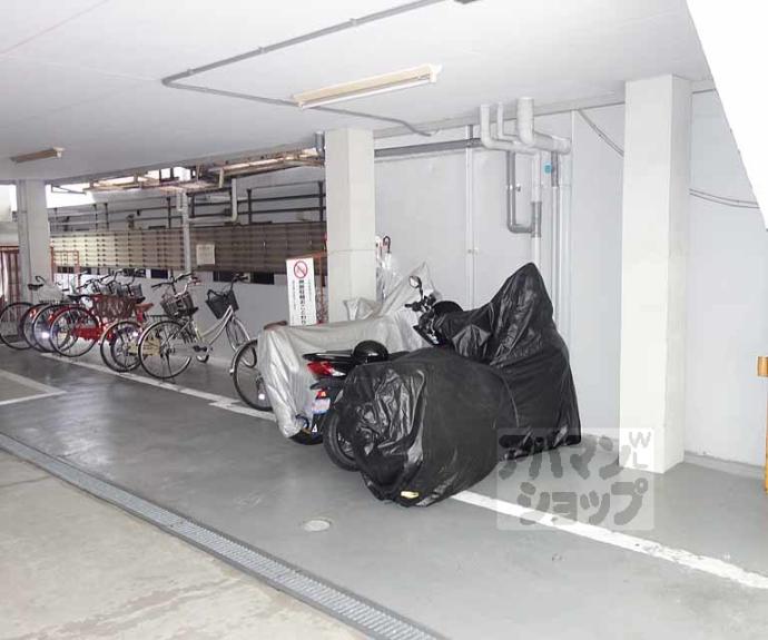 【ＰＬＵＭ２１】