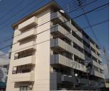 コーポラス上杉