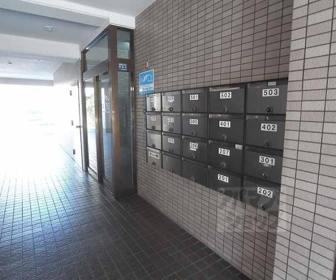 【メゾンTMI】間取