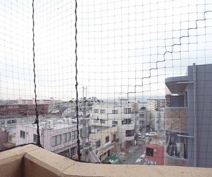 【朝日プラザ深草】間取