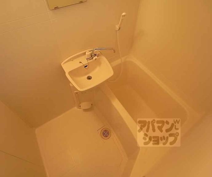 【白梅ヒルズ】間取