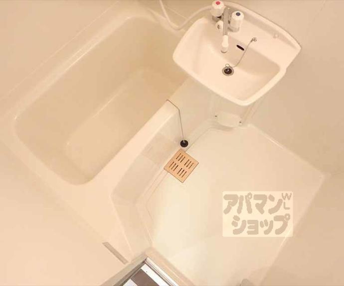 【白梅ヒルズ】間取