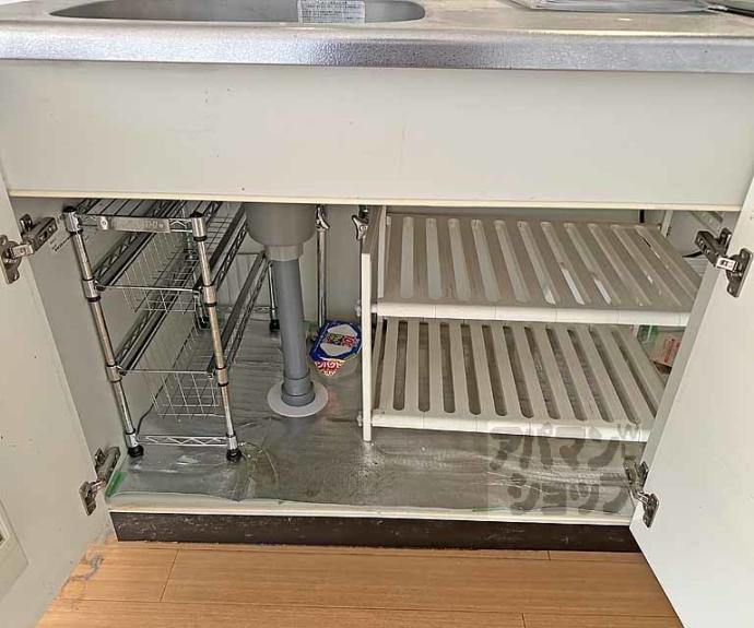 【アストラルルームⅡ】間取