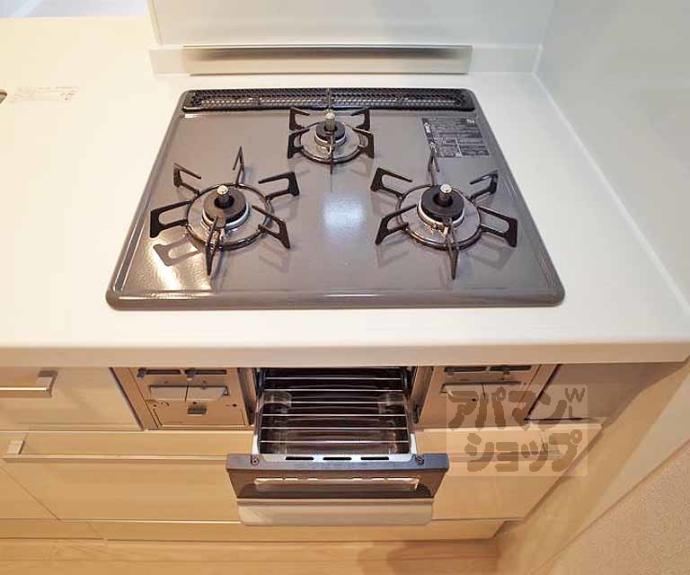 【シャーメゾン岩倉南】間取