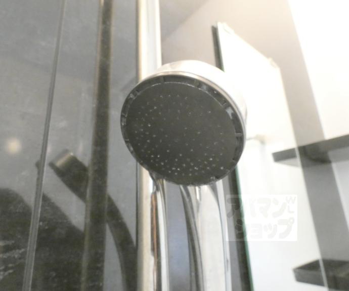 【岩倉村松町貸家１１６－２９】間取