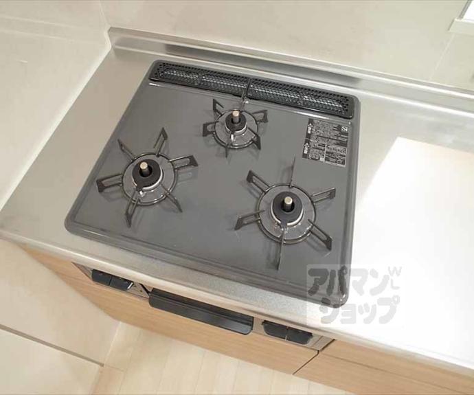 【サウスリッシュ岩倉】間取