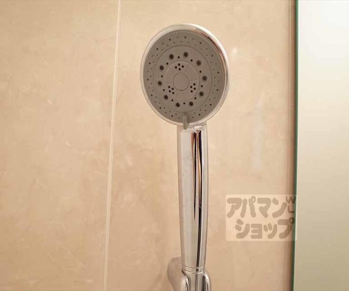 【サウスリッシュ岩倉】間取