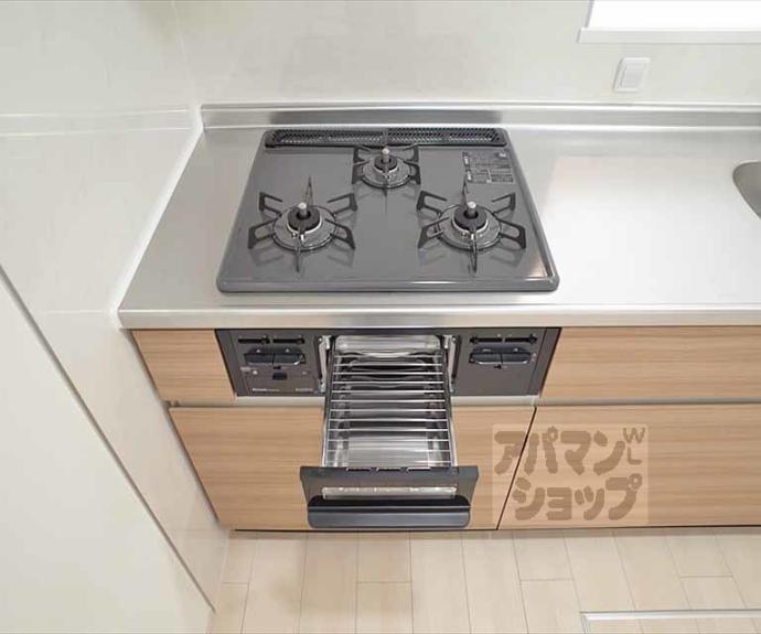 【サウスリッシュ岩倉】間取