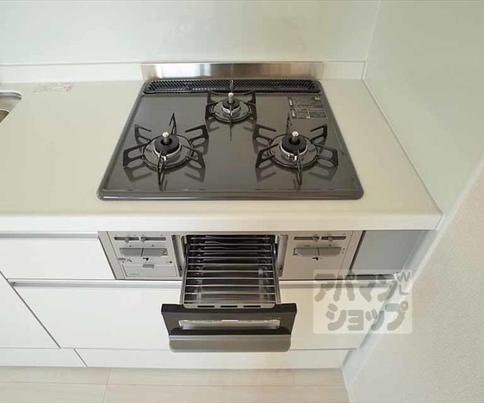 【ラフィーネ下鴨】間取