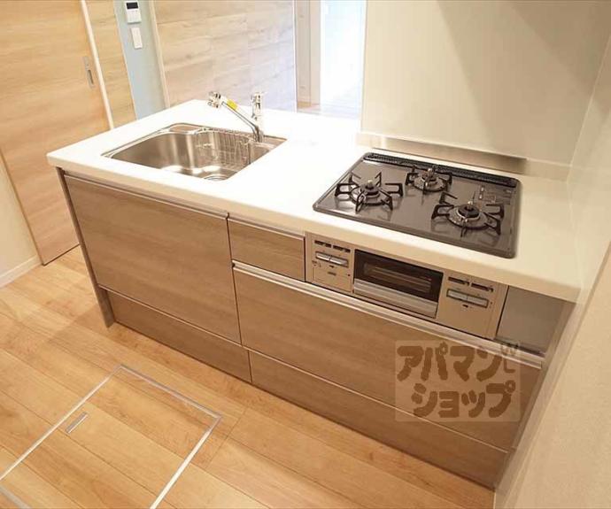 【ラフィーネ下鴨】間取