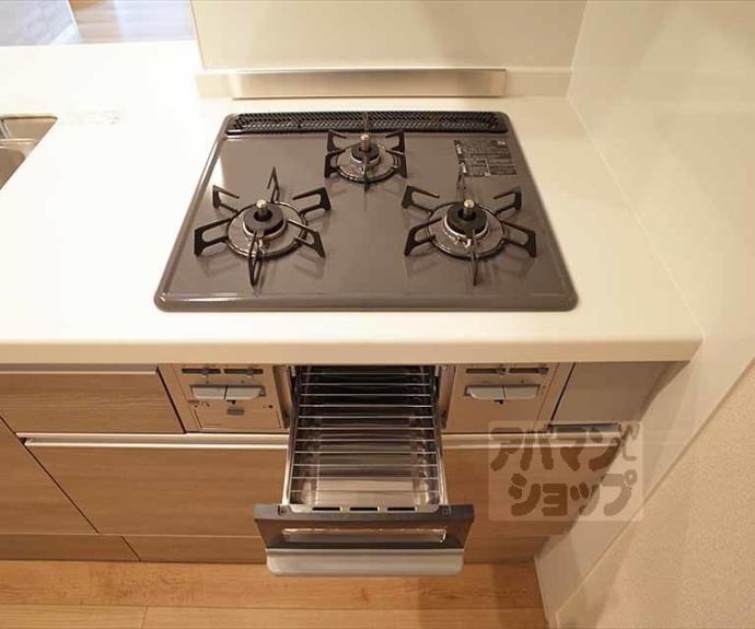 【ラフィーネ下鴨】間取