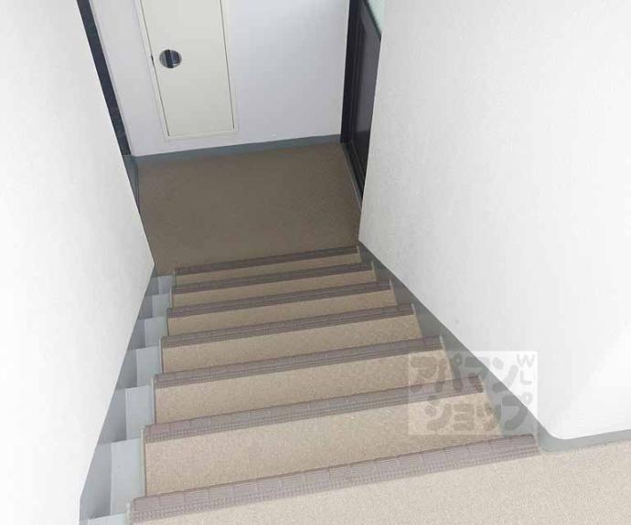 【ラ・パルフェ・ド・プレオ】間取