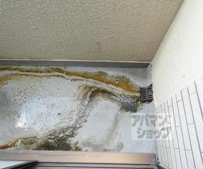 【みどりやビル】間取